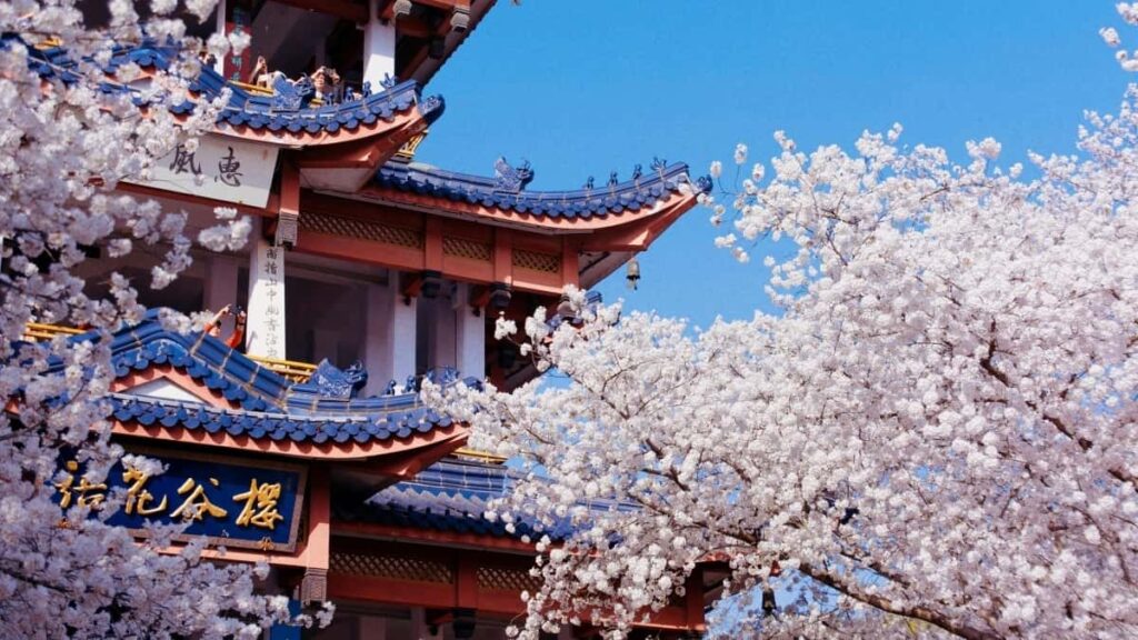 2025 WhatsApp Influencer Marketing So Finden Deutsche China Marken
