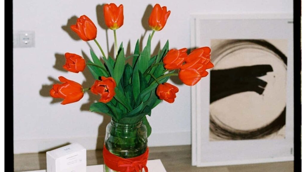 2025 Pinterest Influencer Marketing für Mexico Brands aus Germany