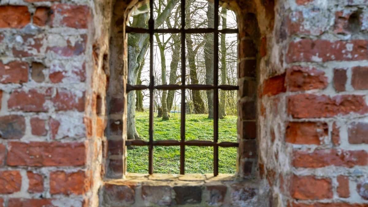 Wie Moj-Creator in Dänemark ihre Lizenzdeals clever verhandeln – Insider-Tipps