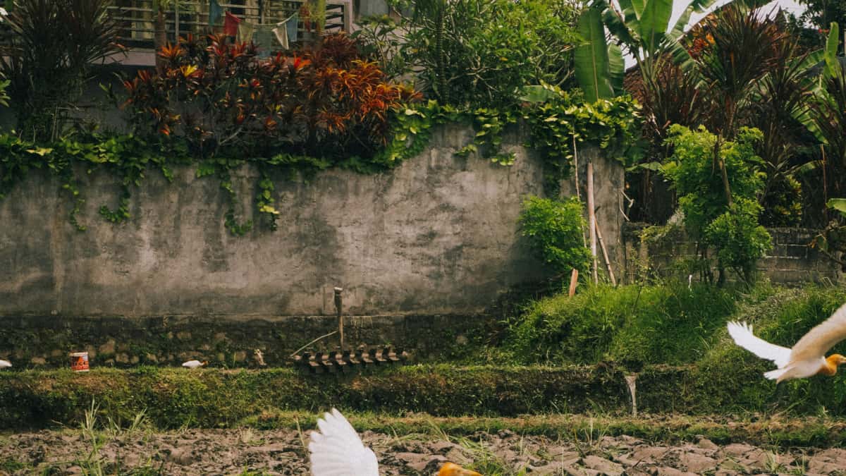 Marketer: Bosnia-Herzegovina HBO Max Creator-Deals schnell finden