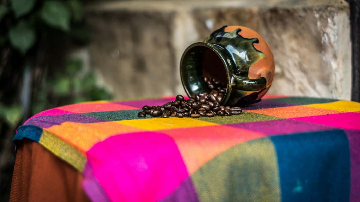 E-Commerce-Marketer: Bolivia Douyin-Creators für Sales finden