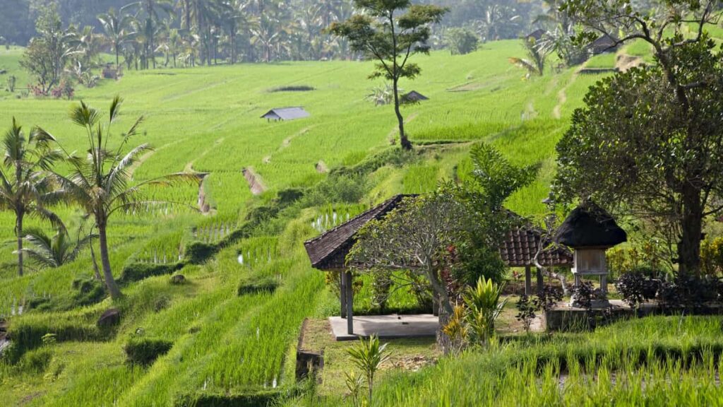 Praktische Anleitung fur deutsche Advertiser: Wie du gezielt Cyprus Takatak Creator fur Product Seeding findest, kontaktierst und Kampagnen lokal skalierts inkl. Tools, Risiken und BudgetTipps.