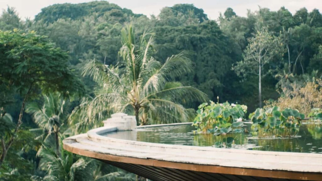 Praktischer Leitfaden fur Creator in Deutschland: So erreichst du dominikanische Marken auf Xiaohongshu und prasentierst Must-have-Items authentisch fur den China-Lifestyle-Markt.