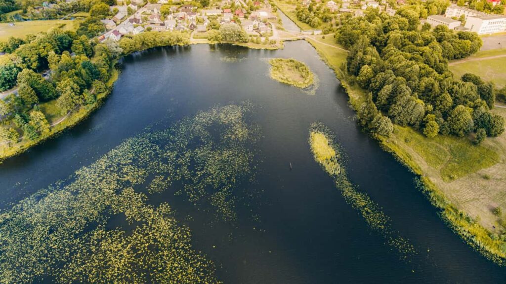 Praktischer Guide fur deutsche Advertiser: wie man Creator auf Line in Tansania entdeckt, bewertet und fur sozial verantwortliche Kampagnen gewinnt mit Tools, Praxis-Beispielen und Kooperationstaktiken.