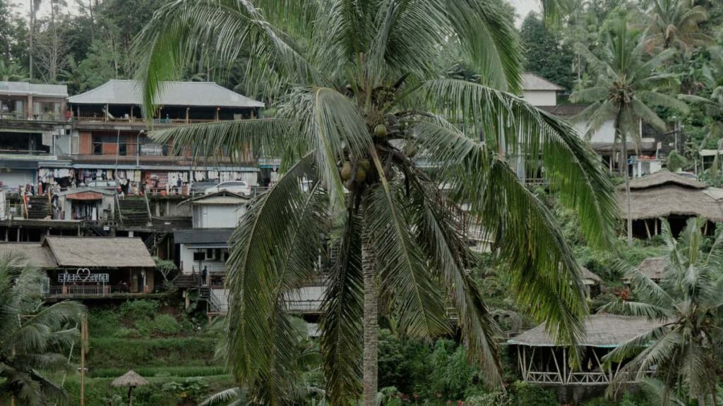 Praktischer Leitfaden fur deutsche Advertiser: wie man passende venezolanische YouTube-Creator fur OnlineLearning-Kampagnen identifiziert, bewertet und anspricht.