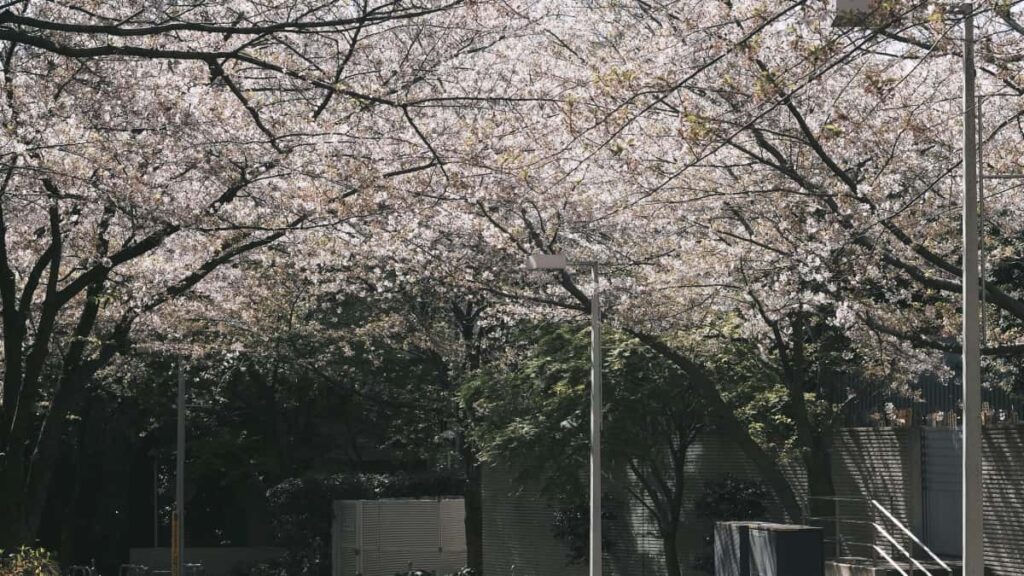 Praktische Strategien fur deutsche Reisewerber: So findest du kasachische Etsy-Creators, arbeitest mit ihnen zusammen und steigerst die Sichtbarkeit deiner Destinationen.