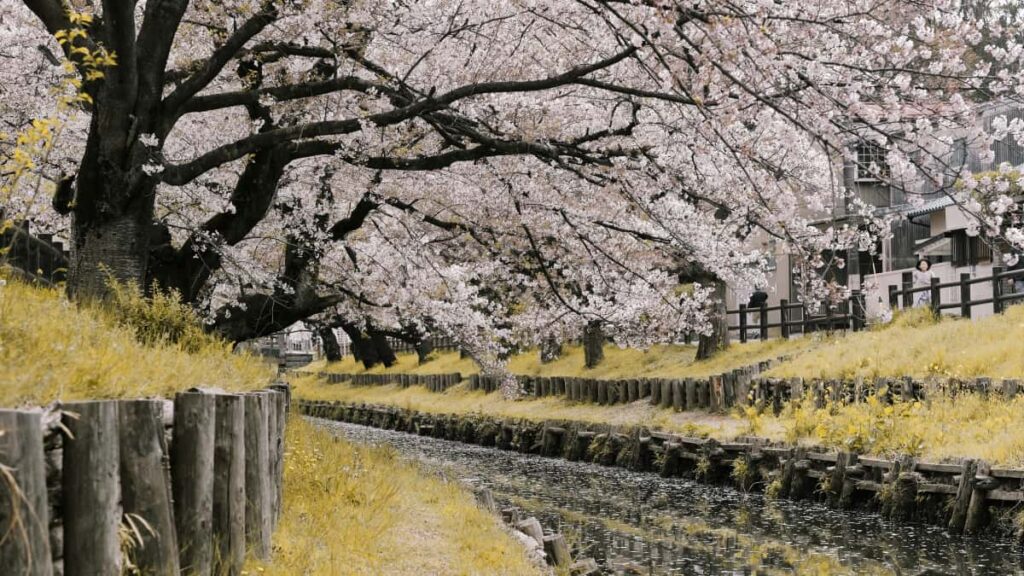 Praktische Anleitung fur deutsche Creator: Wie du laotische BeautyMarken via Facebook erreichst, Vertrauen aufbaust und BrandAmbassador wirst.