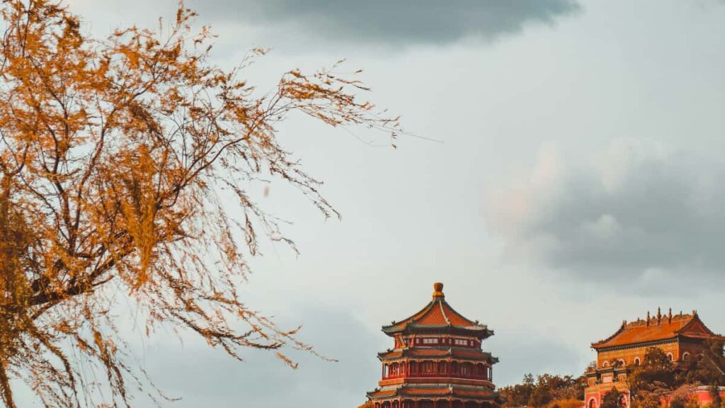 Praktische Strategie fur deutsche Advertiser: So findest du montenegrinische Chingari-Creator, um Reichweite fur HealthyLifestyleMarken zu steigern.