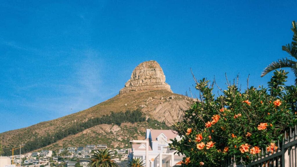 Praktische Anleitung fur Creator in Deutschland: Wie du bulgarische Marken via WhatsApp kontaktierst, Vertrauen aufbaust und deine Chancen auf Kooperationen deutlich steigerst.