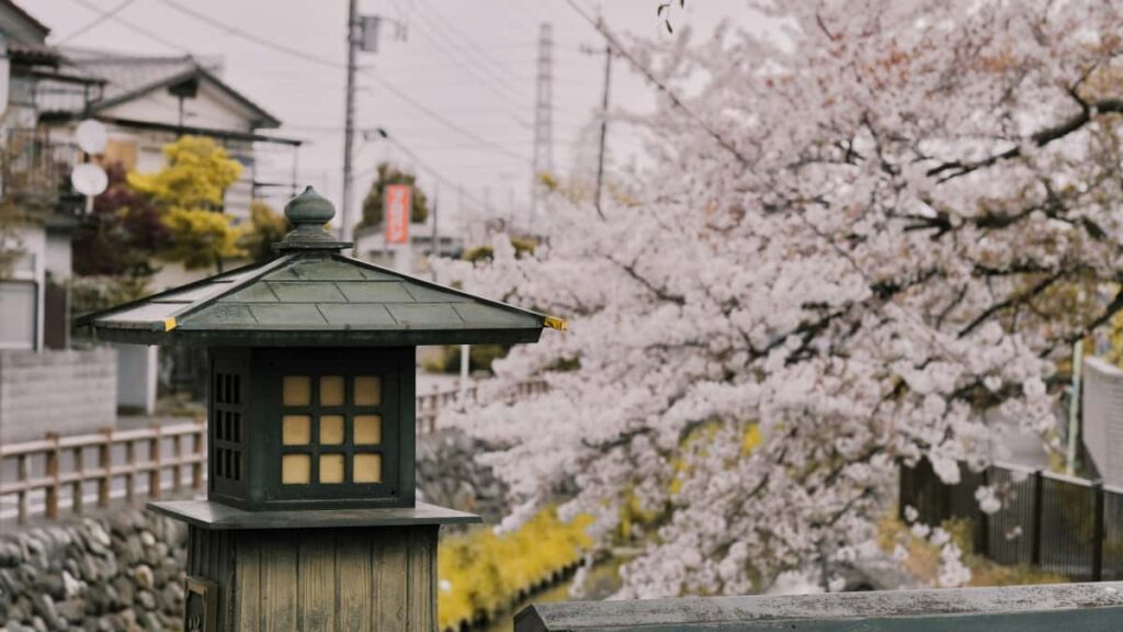 Praktischer Guide fur Creator in Deutschland: Wie du costa-ricanische Marken auf Pinterest kontaktierst, Launch-Hype baust und echte Conversions erzielst.