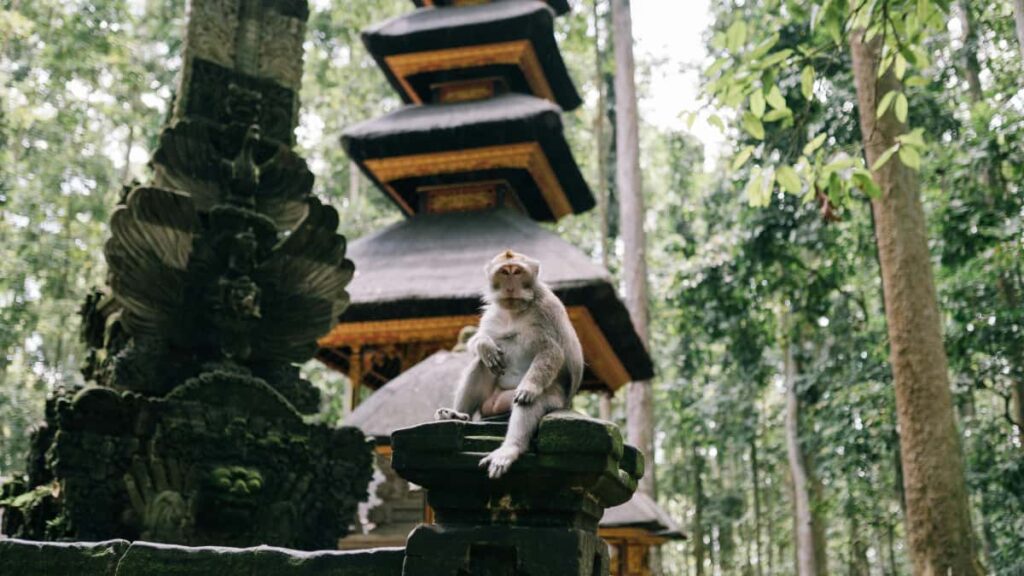 Praktische Anleitung fur Creator in Deutschland: Wie du luxemburgische Marken auf Snapchat ansprichst, Partnerschaften aufbaust und FollowUpContent fur Fans erstellst.