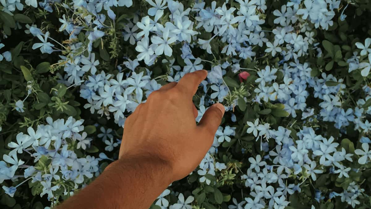 Advertiser: Takatak-Creators aus PH finden & Engagement boosten