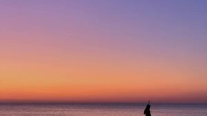 Konkrete Outreach-Strategie fur Creator in Deutschland: Wie du tunesische Marken auf HBO Max ansprichst, Lernplattformen reviewst und echte Kooperationen klar machst.