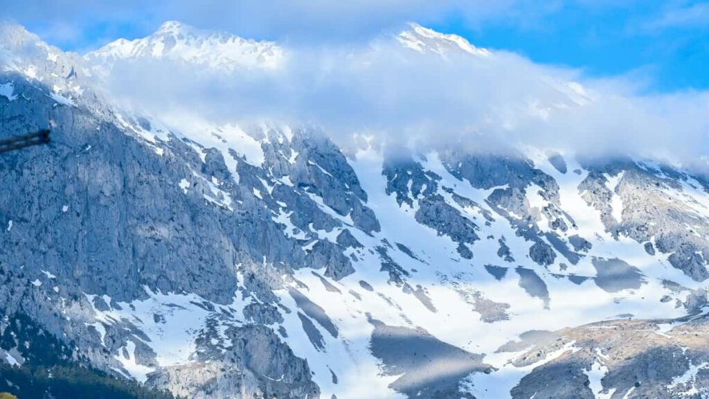 Praktischer Guide fur Creator aus Deutschland: wie du bulgarische Marken auf Pinterest ansprichst, TestimonialVideos pitchst und Deals abschliet inkl. OutreachScripts, KPIs und Fallbeispiele.