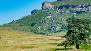 Praktischer Guide fur Creator:innen in Deutschland: wie du costa-ricanische Marken auf Pinterest ansprichst, GRWMVideos pitchst und echte Deals landest mit Taktik, Beispiele und Tools.